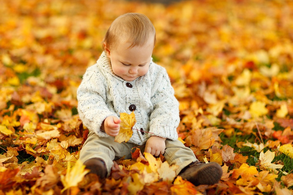 baby in fall leaves